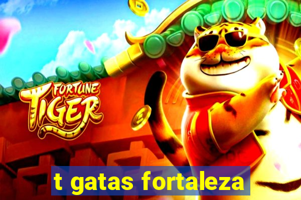 t gatas fortaleza